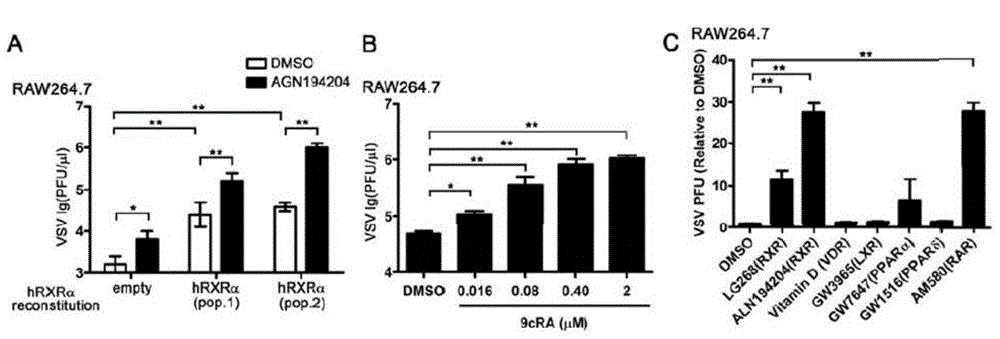 Application of RXR (Retinoid X receptor) in preparing medicine for treatment of vesicular stomatitis virus