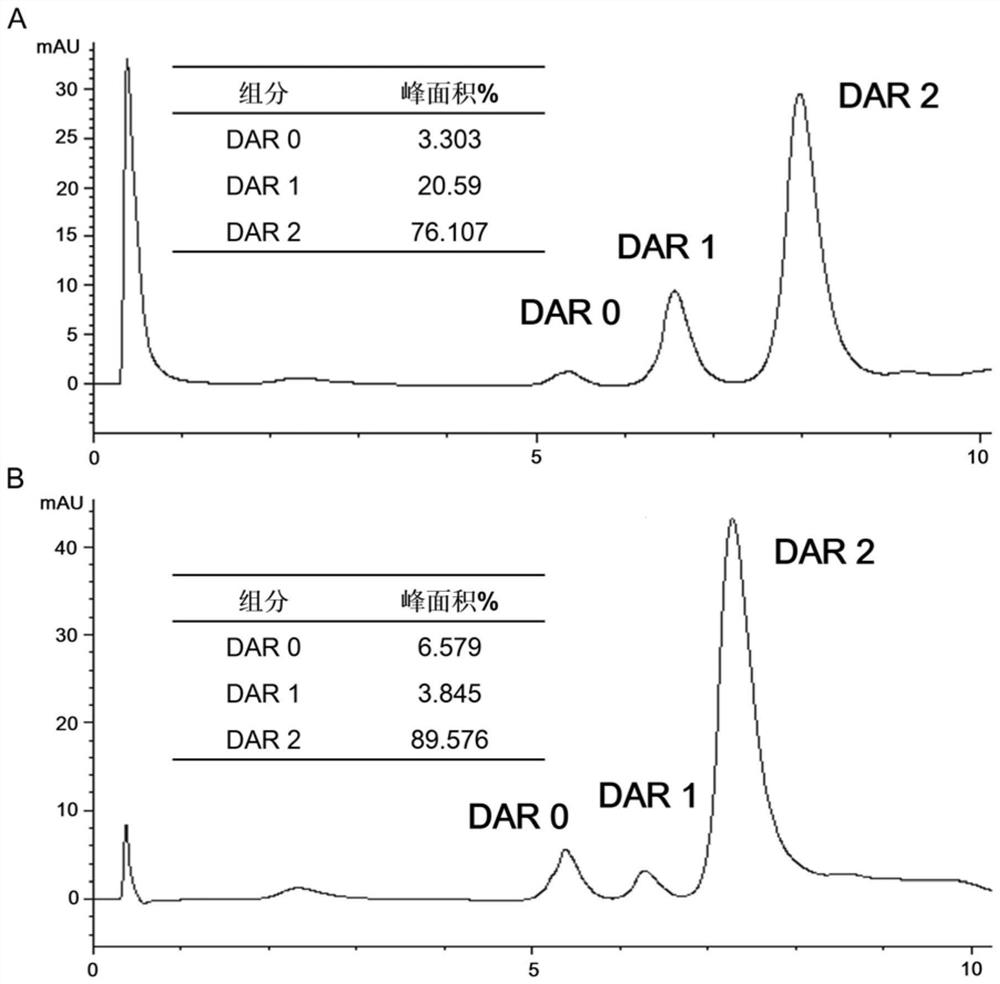 Antibody coupling medicine and application thereof