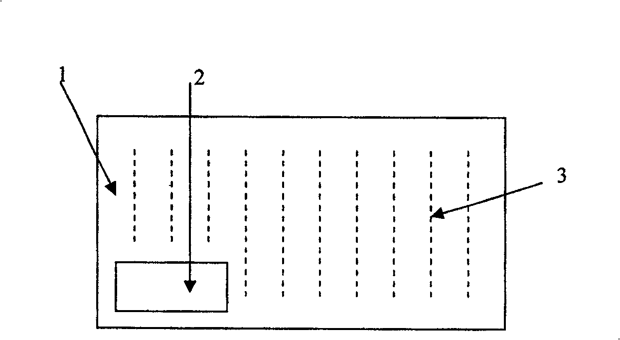 Rice field breeding method for crayfish procambrarus clarkii