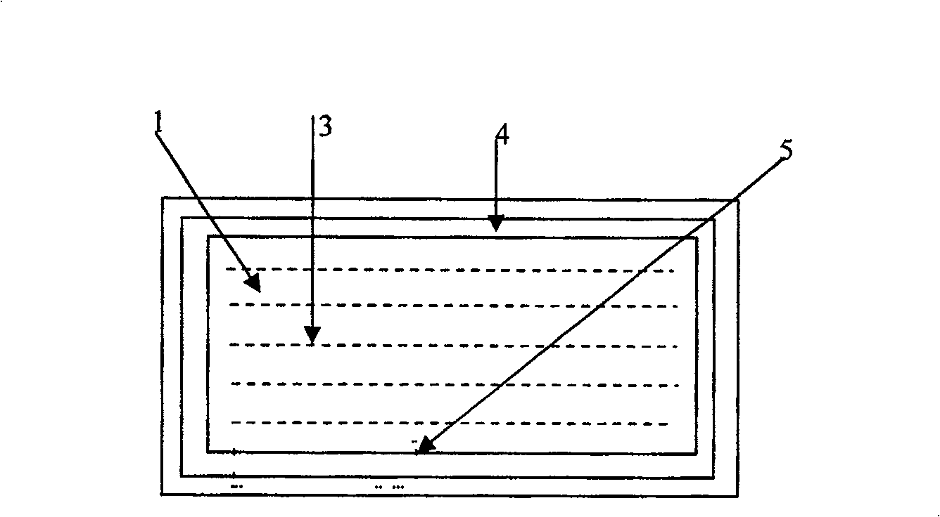 Rice field breeding method for crayfish procambrarus clarkii