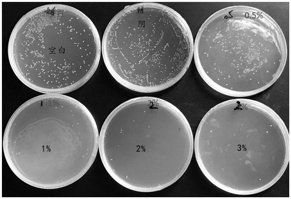 A kind of grafted antibacterial polypropylene and its preparation process