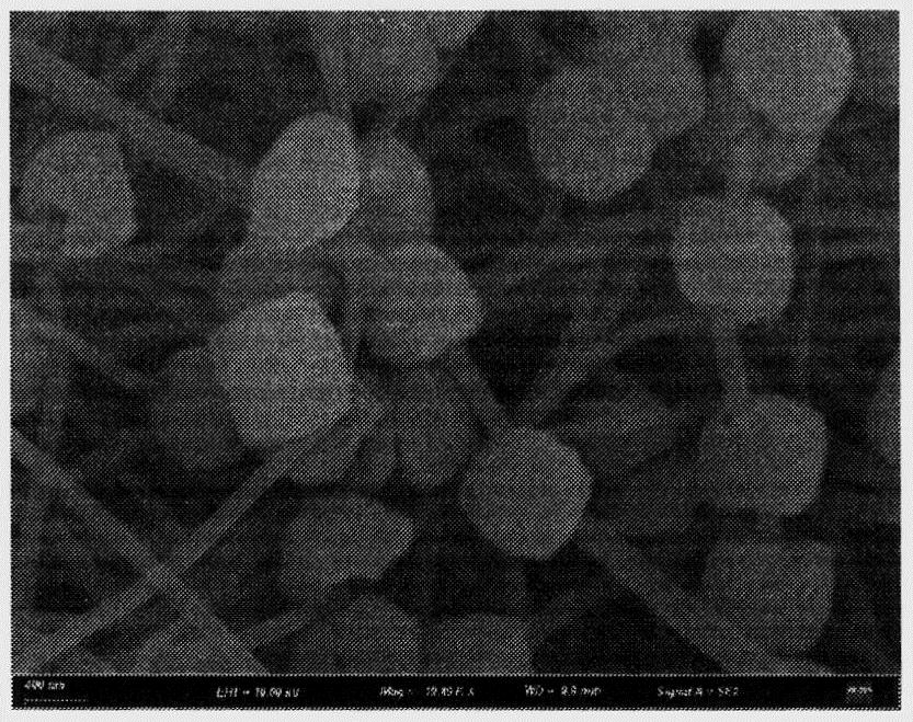 Preparation method of MOF/aramid nanofiber modified Nafion proton exchange membrane with beaded structure for fuel cell