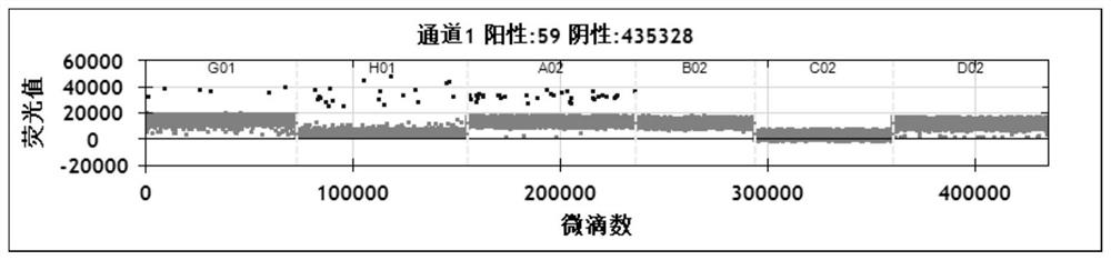 Primer probe for detecting breast cancer recurrence and metastasis gene HER2 amplification and application thereof