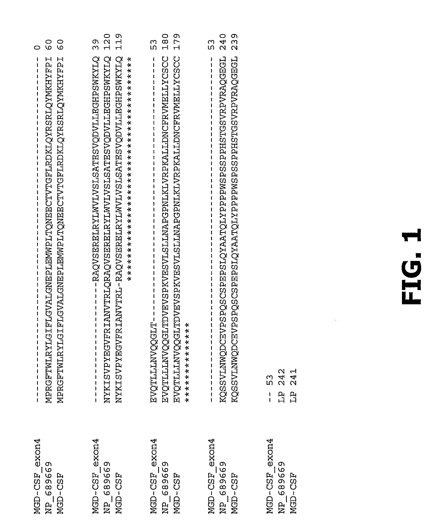 Compositions and Methods of Use for Mgd-Csf in Disease Treatment