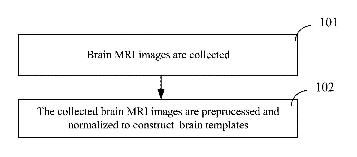 Method and device for constructing brain templates