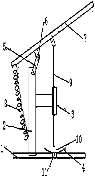 Preserved fruit pitting device