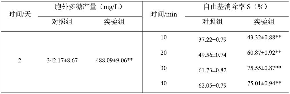 An anti-oxidant moisturizing essence rich in fermented products of Vitella hyaline, its preparation method and application