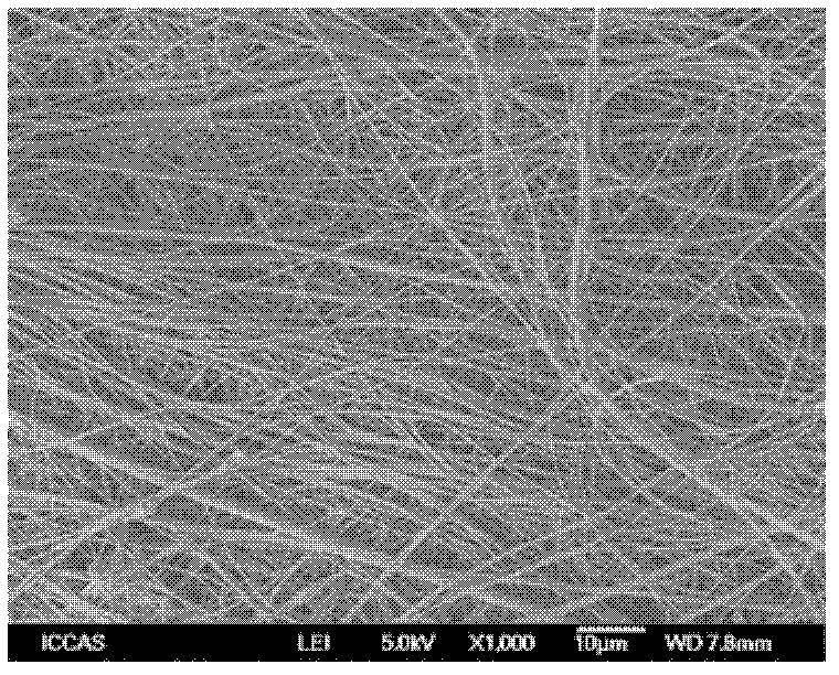 Tissue engineering bracket material capable of physically embedding active substances and preparation method thereof
