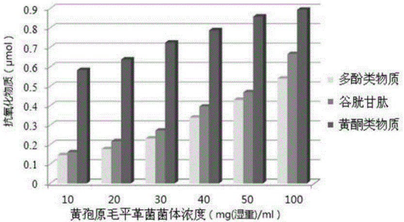 Antioxidant extract of Phanerochaete chrysosporium and preparation method thereof