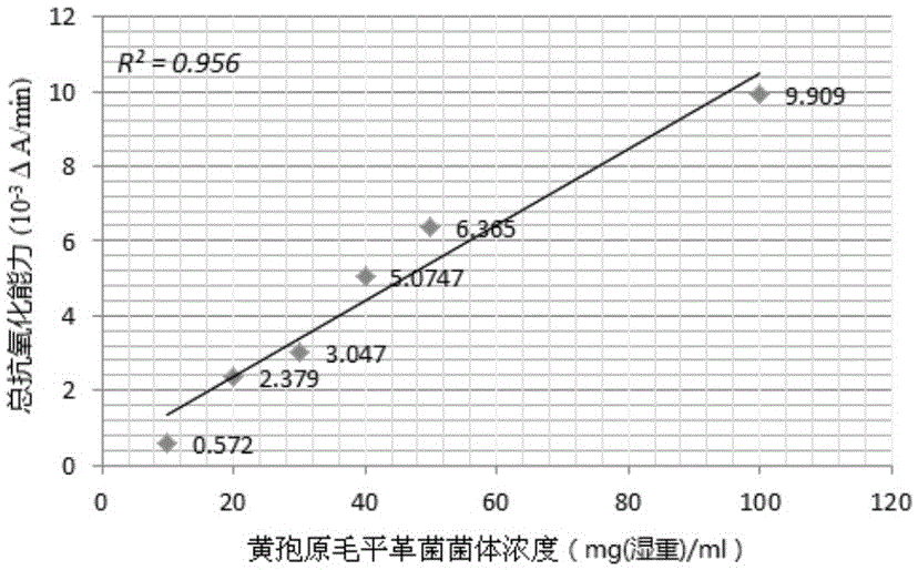 Antioxidant extract of Phanerochaete chrysosporium and preparation method thereof