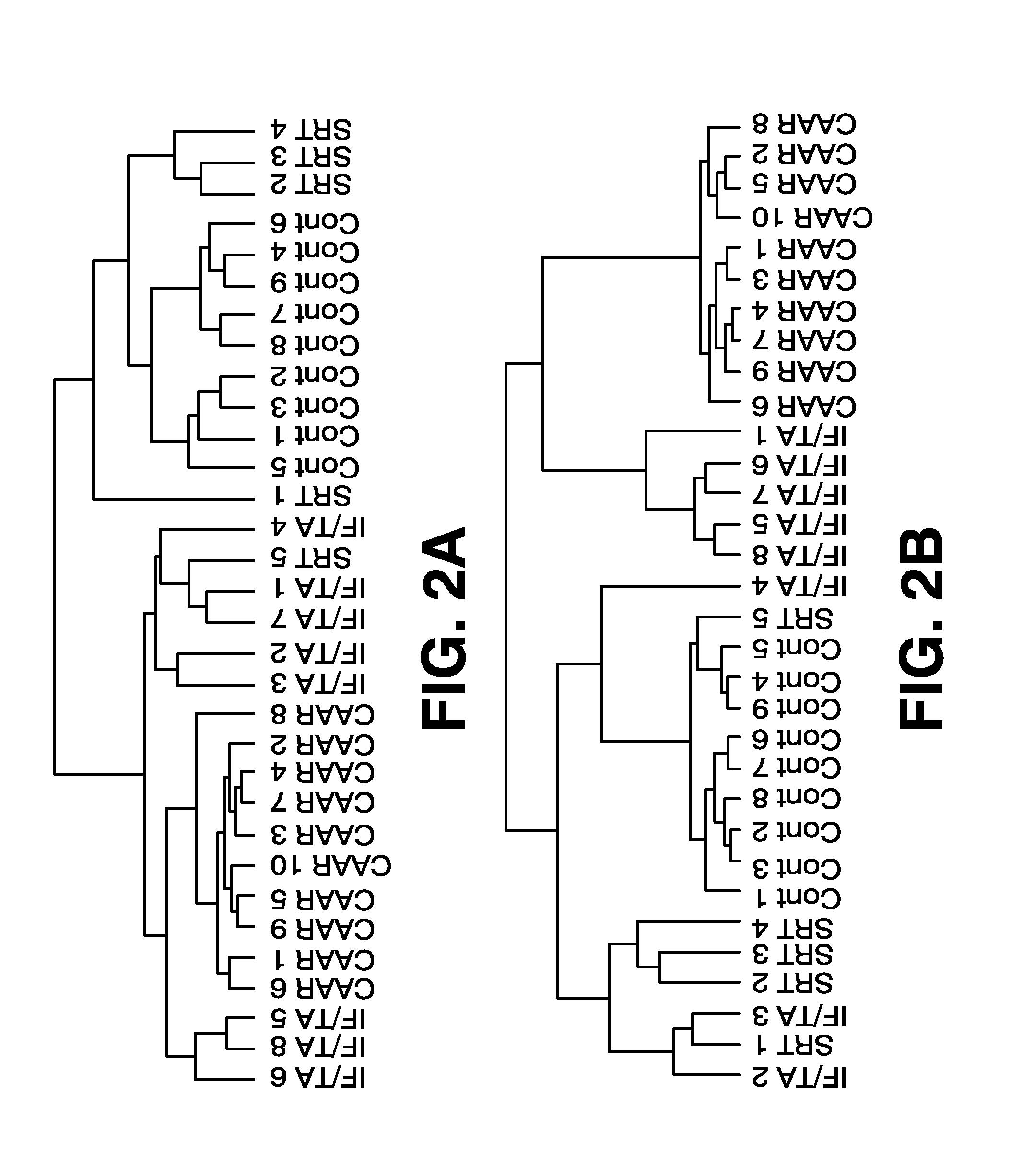 Healthy kidney biomarkers