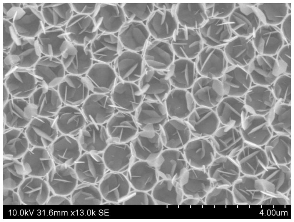 a kind of sns  <sub>2</sub> Two-dimensional ordered nanoporous film, preparation method and application thereof