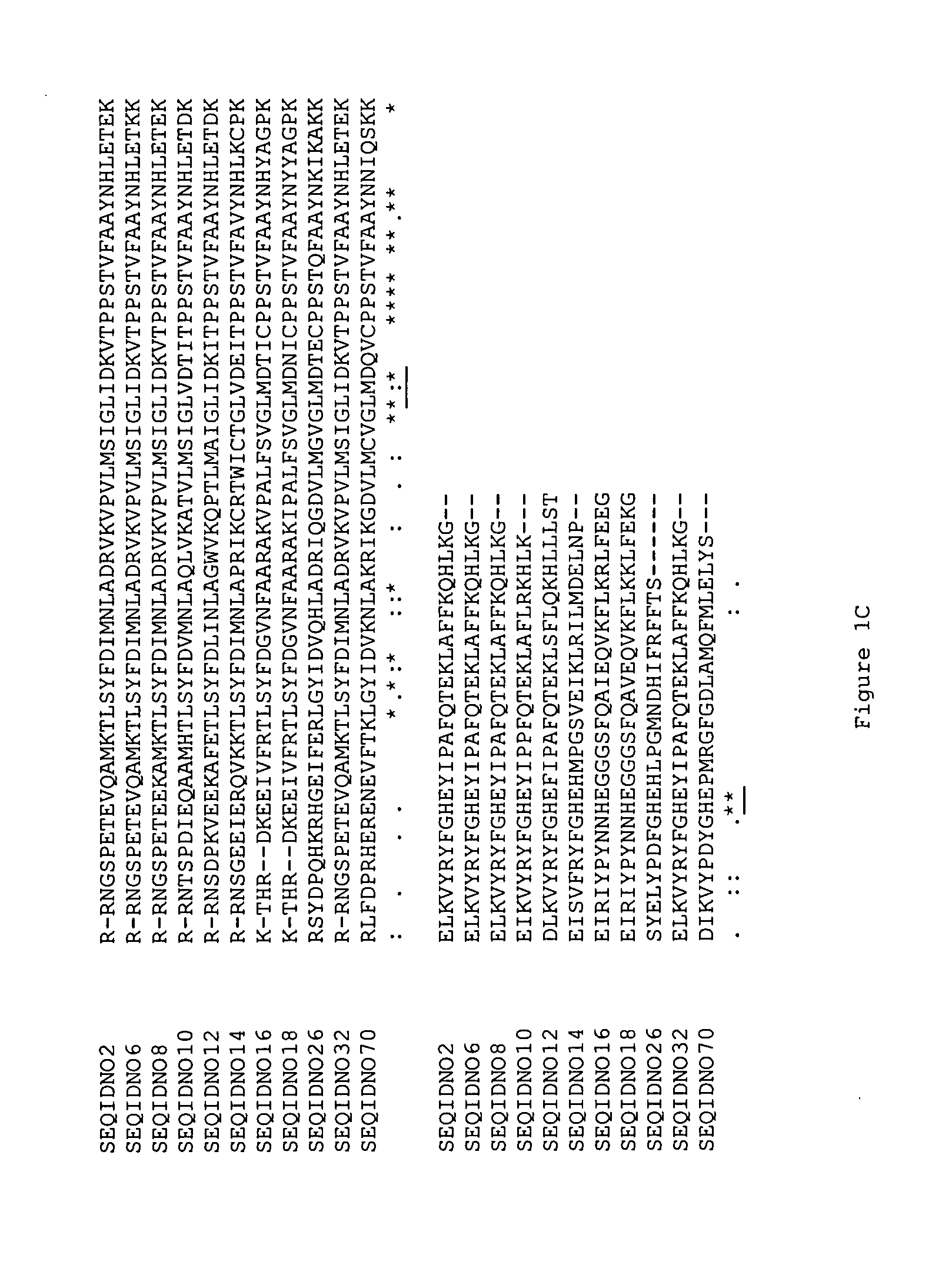 Production of peracids using an enzyme having perhydrolysis activity