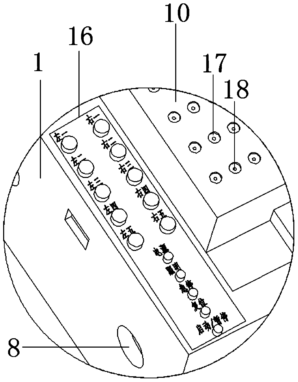 Automatic laser marking device