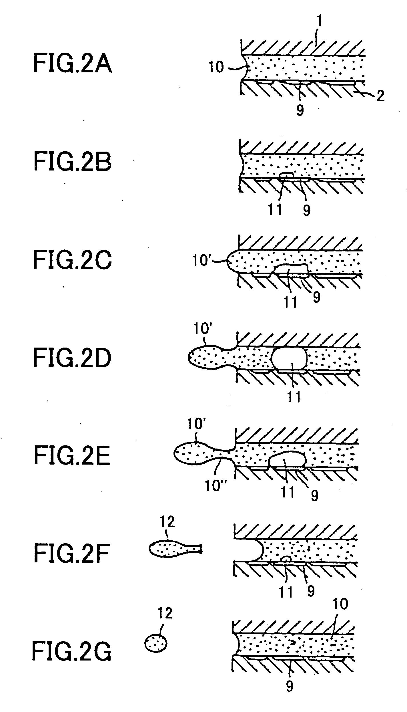 Liquid jet recording apparatus, liquid jet head and recording liquid