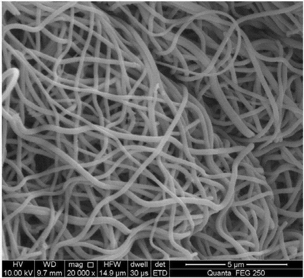 Carbon-coated MoSe2/graphene electrospun nanofibers and preparation method thereof