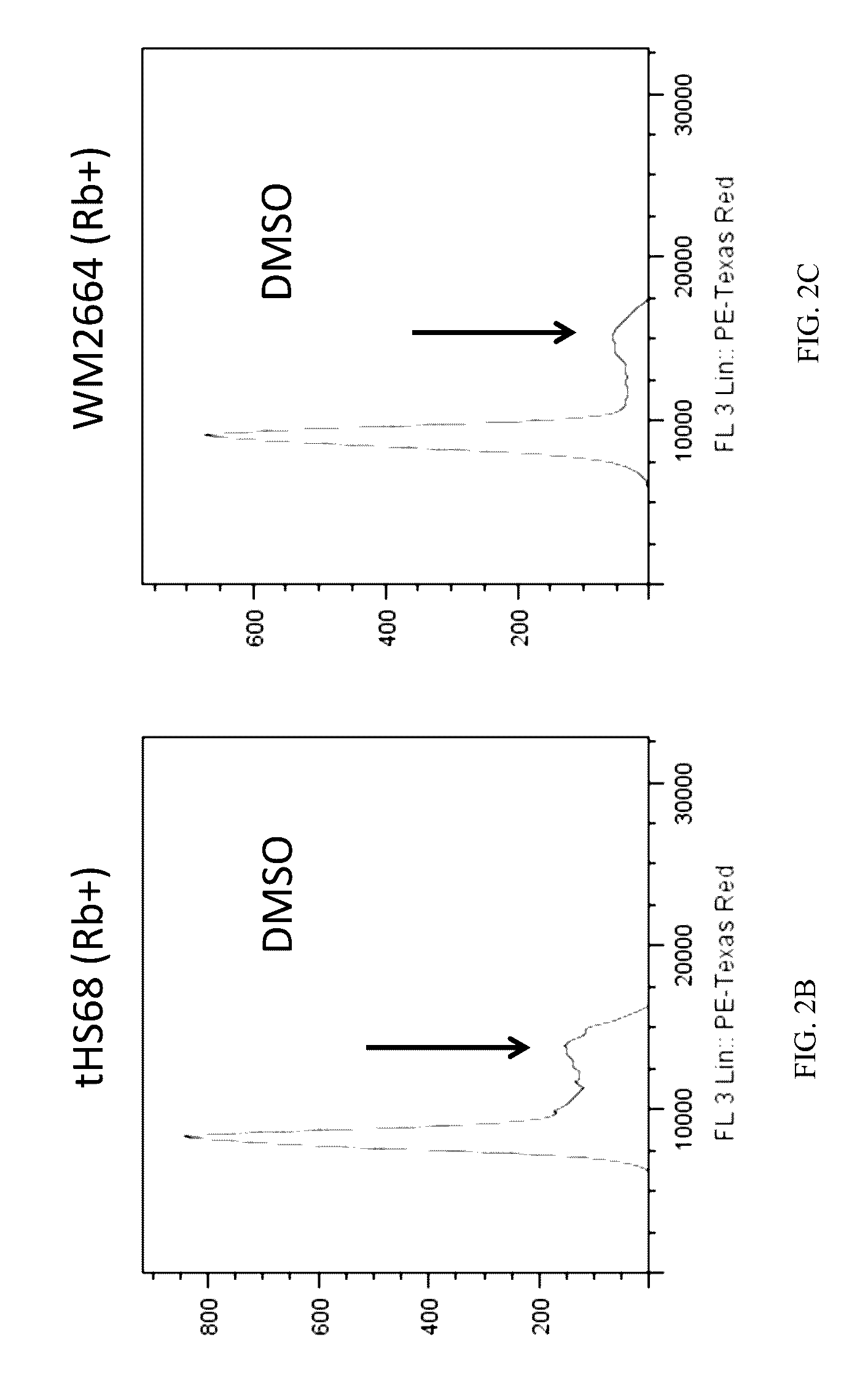 Transient protection of normal cells during chemotherapy