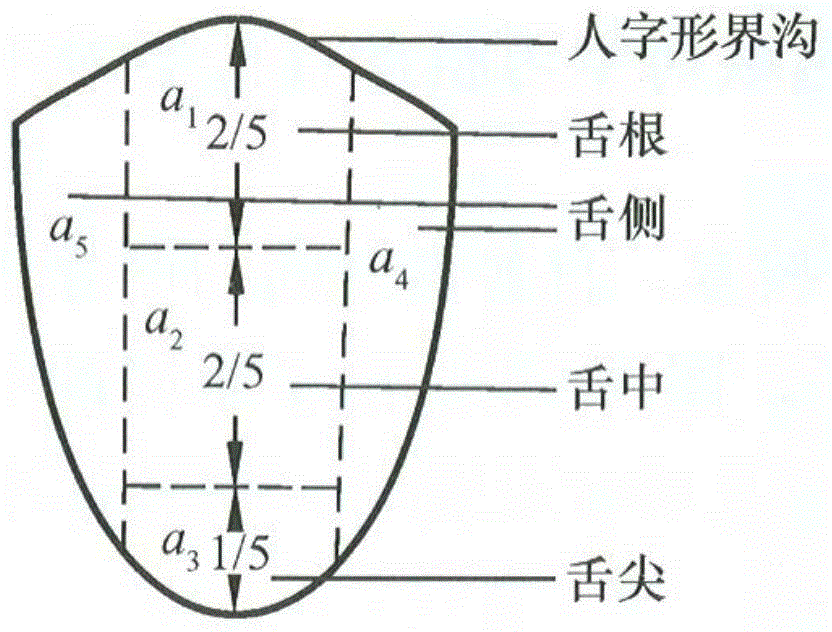 Automatic analysis method of tongue color and fur color in traditional Chinese medicine based on image retrieval