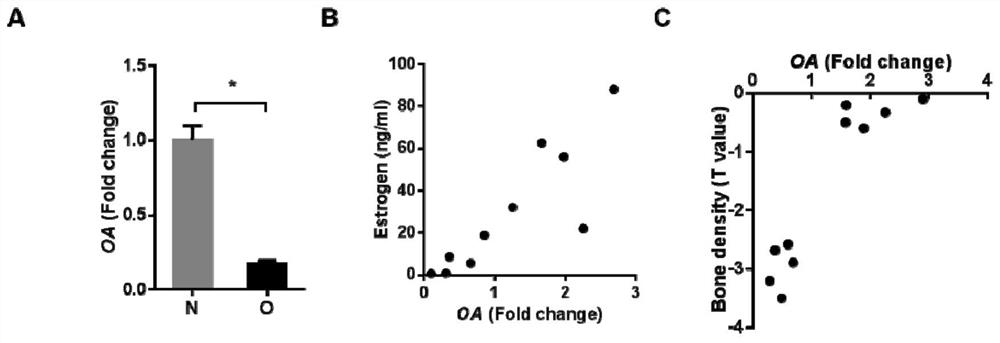 Biomarker OA (osteoactivin) for detecting postmenopausal osteoporosis and kit of biomarker OA