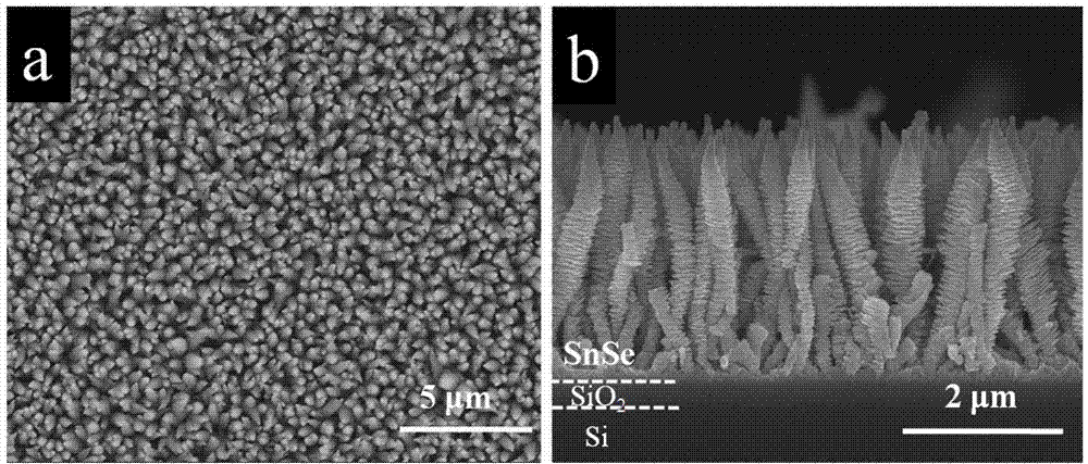 One-dimensional tin selenide nanoarray as well as preparation method and application thereof