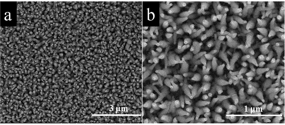 One-dimensional tin selenide nanoarray as well as preparation method and application thereof