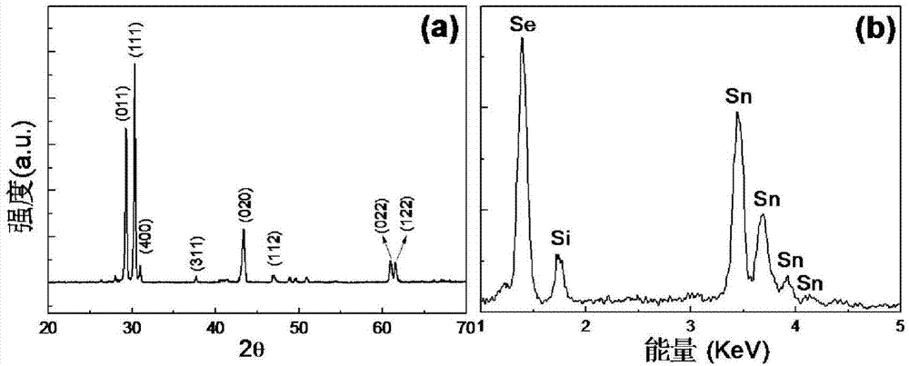 One-dimensional tin selenide nanoarray as well as preparation method and application thereof