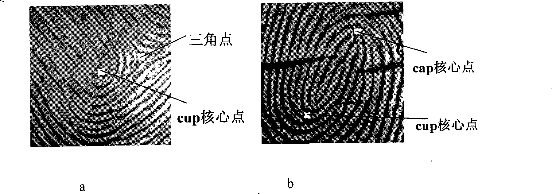 Rapid fingerprint identification method