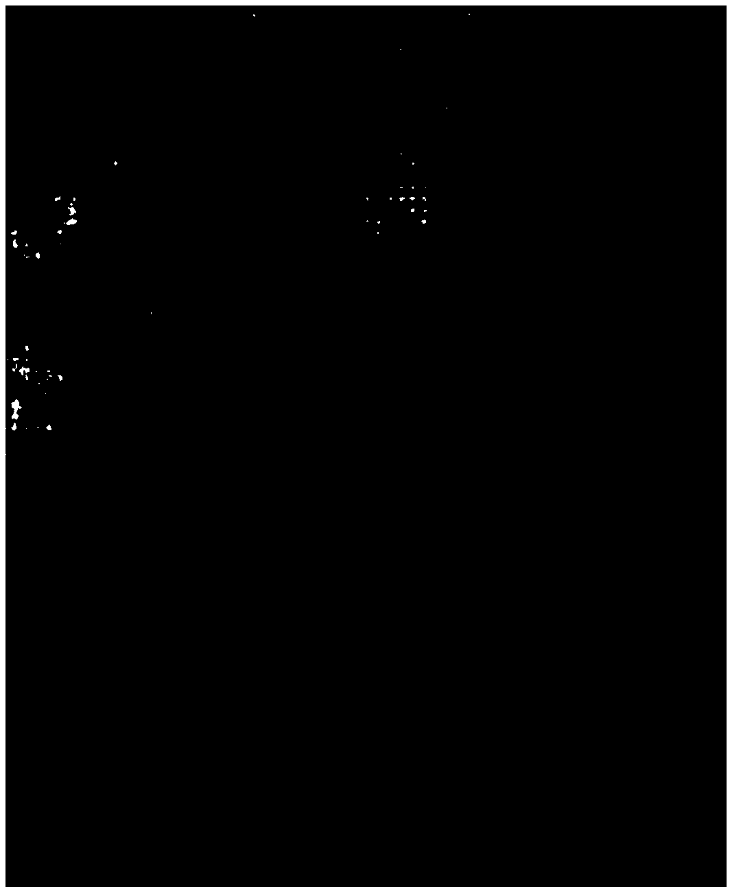 Raster application method with anti-duplication function