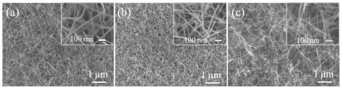 A preparation method of transparent conductive oxide film-nanowire network