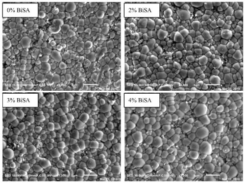 Special bismuth stearate-coated lead lanthanum zirconate titanate powder injection molding material and preparation method thereof