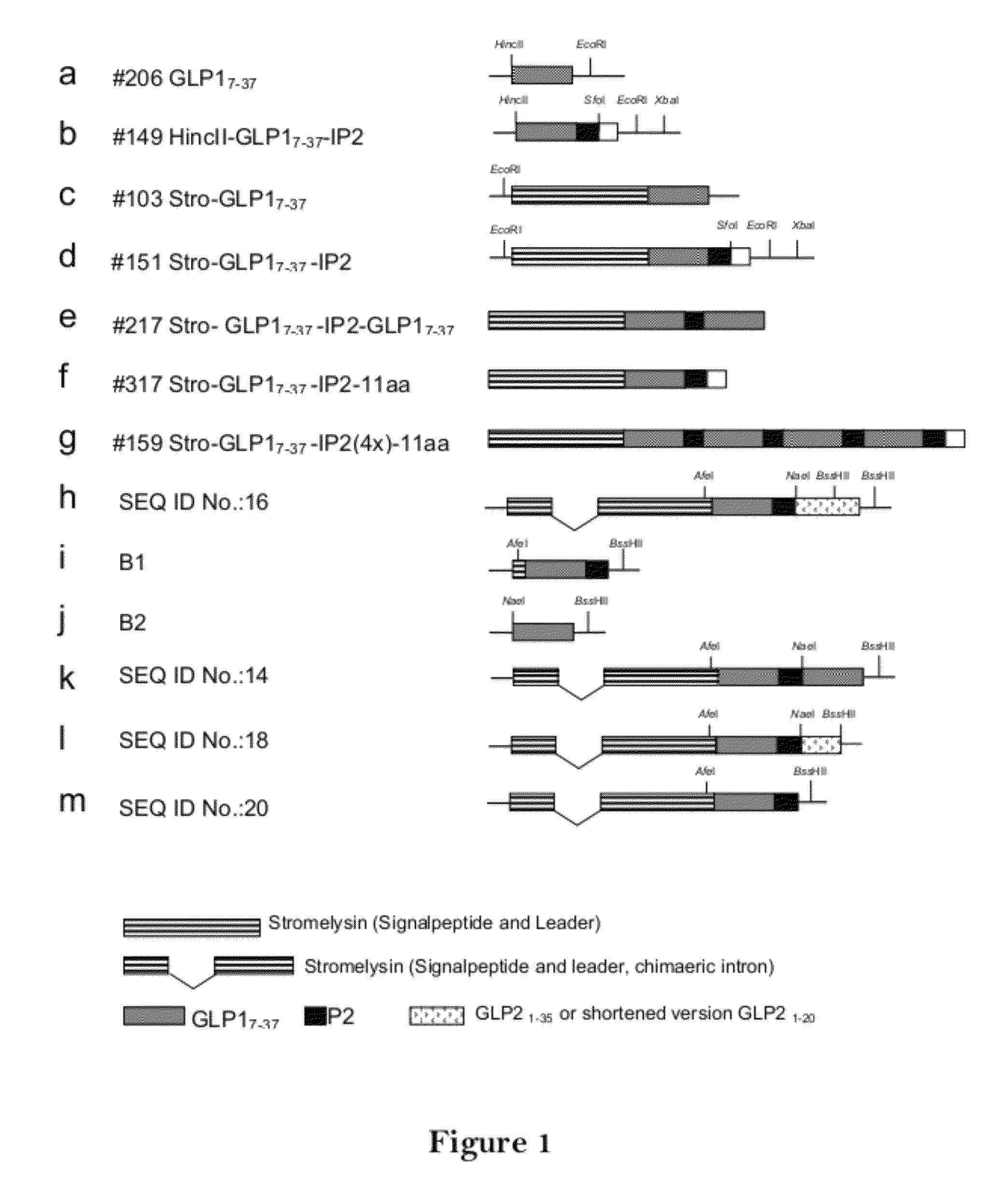 GLP-1 Fusion Peptides