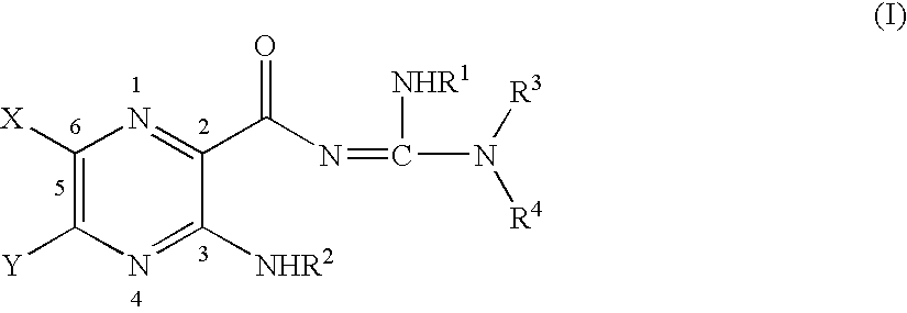 Poly aromatic pyrazinoylguanidine sodium channel blockers