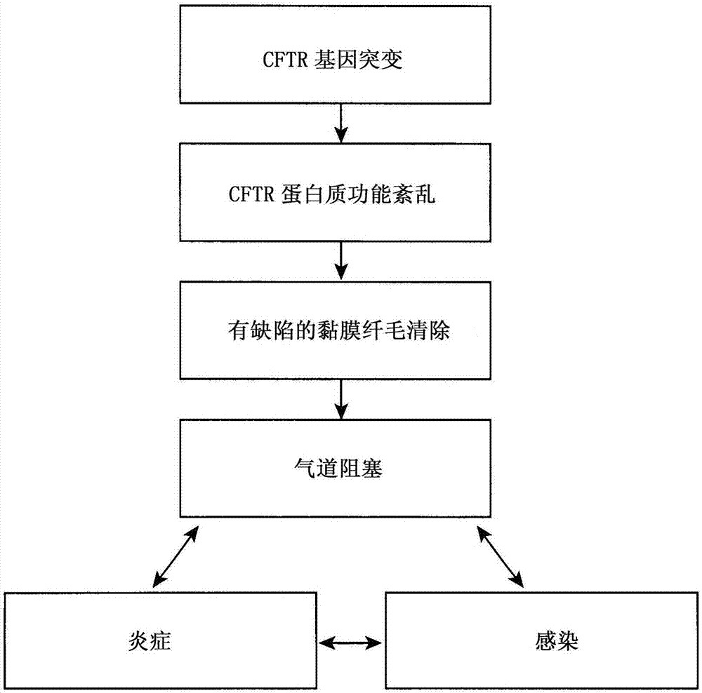 Thymosin alpha 1 for use in treatment of cystic fibrosis