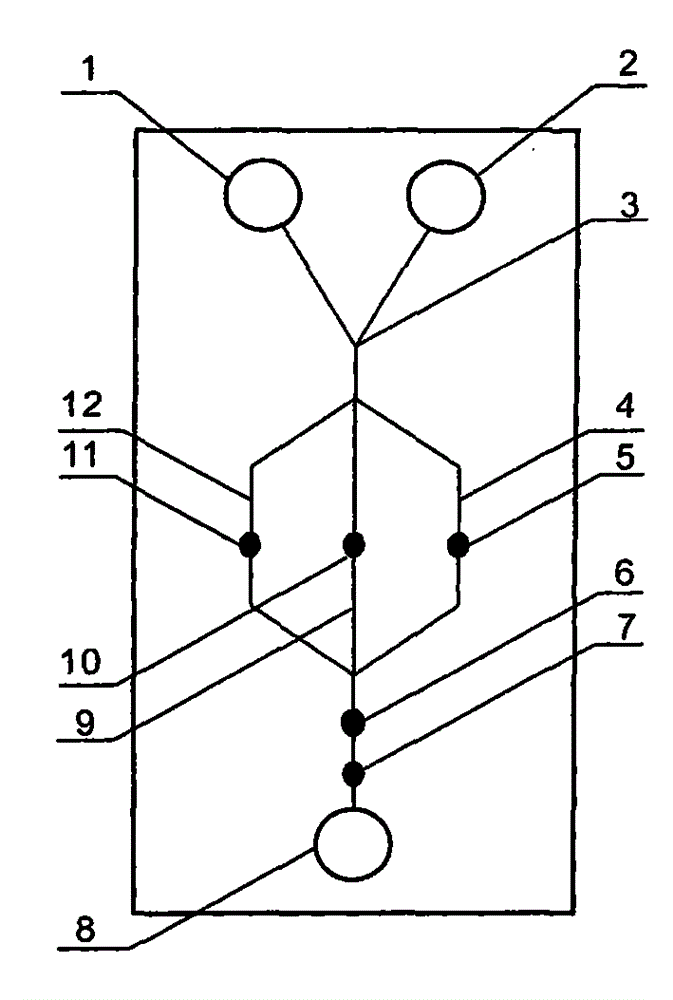 Easily-detachable subtype swine influenza multichannel detection apparatus containing electromagnetic auxiliary member