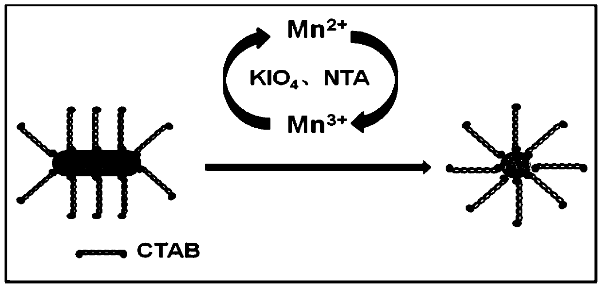 A kind of manganese ion colorimetric detection kit and its detection method