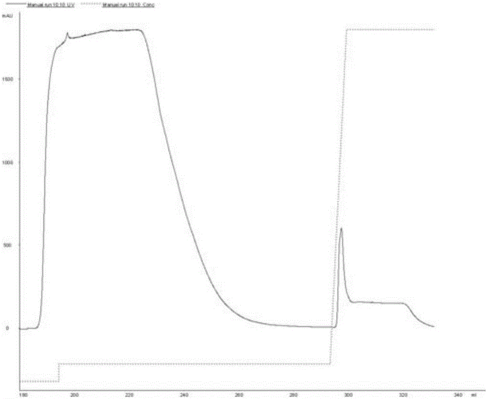 JAML-receptor-targeted single-chain antibody, and preparation method and application thereof