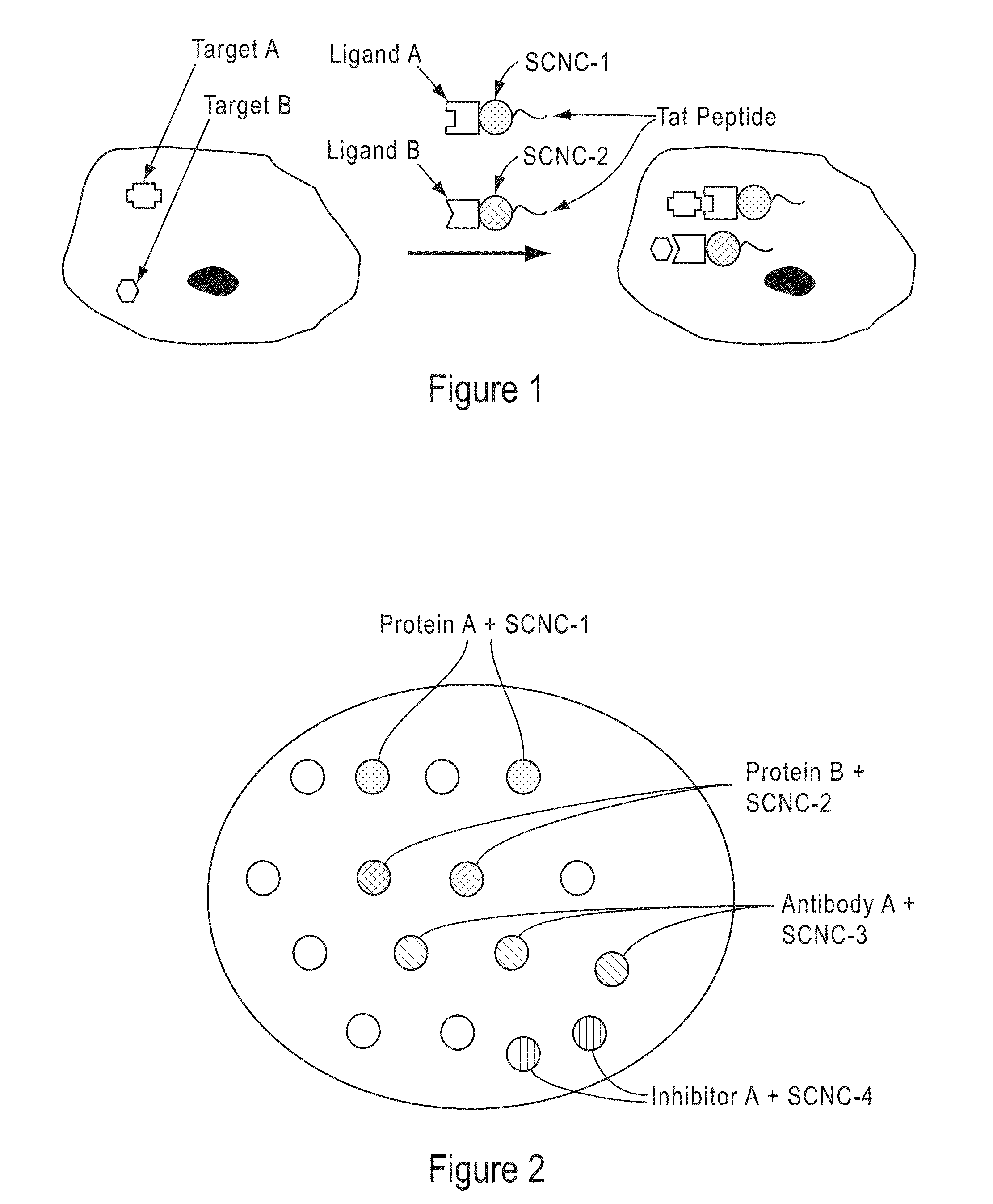 Cells Having A Spectral Signature And Methods Of Preparation And Use Thereof