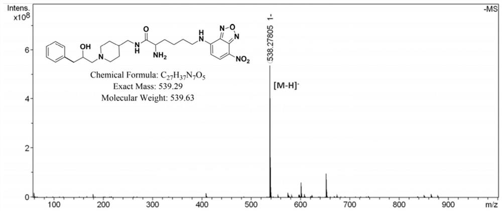 Fluorescent probe as well as preparation method and application thereof