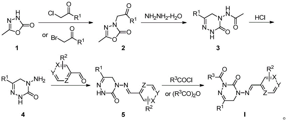 Heterocyclic imide derivative containing bisamide structure and preparation method and application thereof