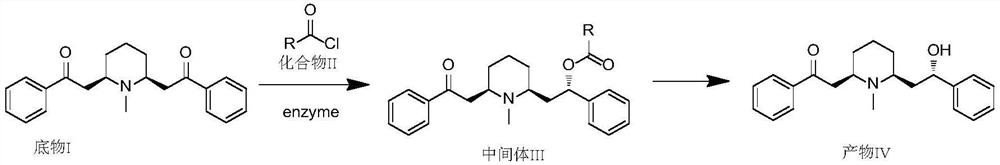 Method for synthesizing lobeline hydrochloride intermediate through enzyme catalysis chiral reduction