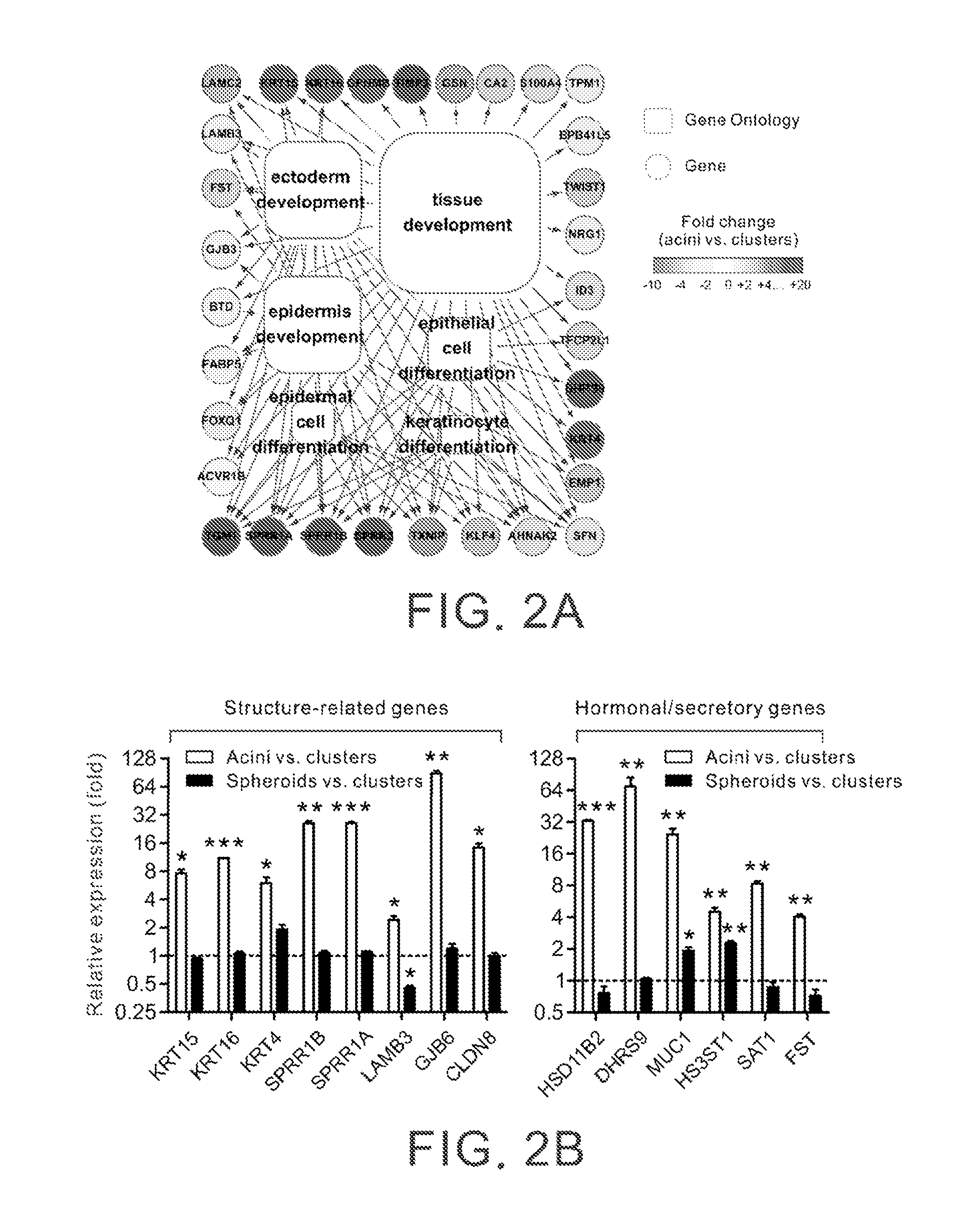 Molecular markers for prognostically predicting prostate cancer, method and kit thereof
