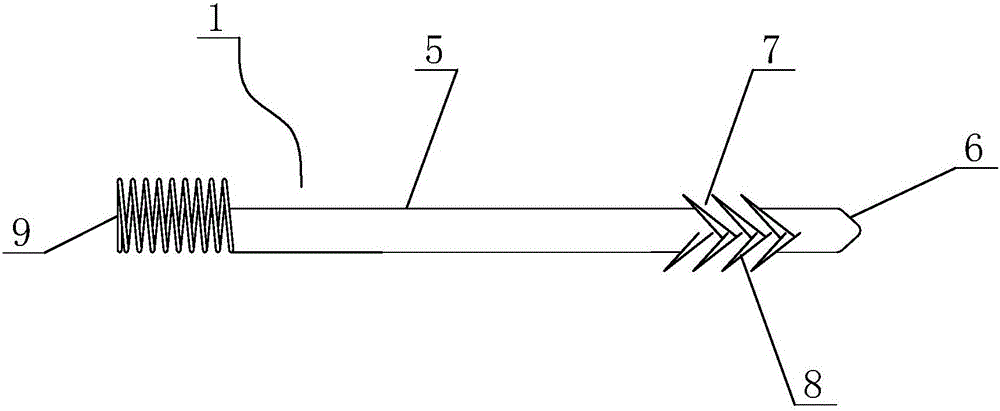 Tool for treating stenosis or atresia of ductus papillaris of dairy cow and use method of tool