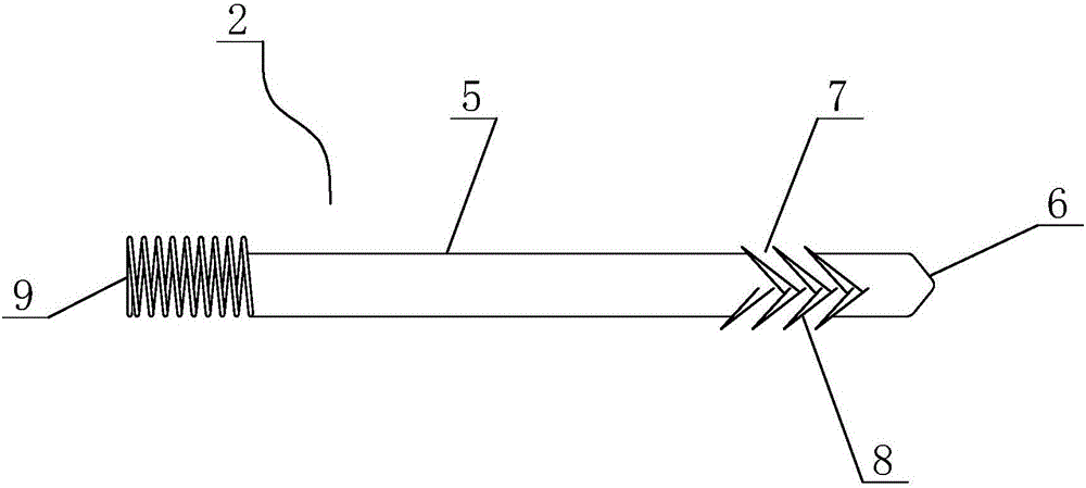 Tool for treating stenosis or atresia of ductus papillaris of dairy cow and use method of tool