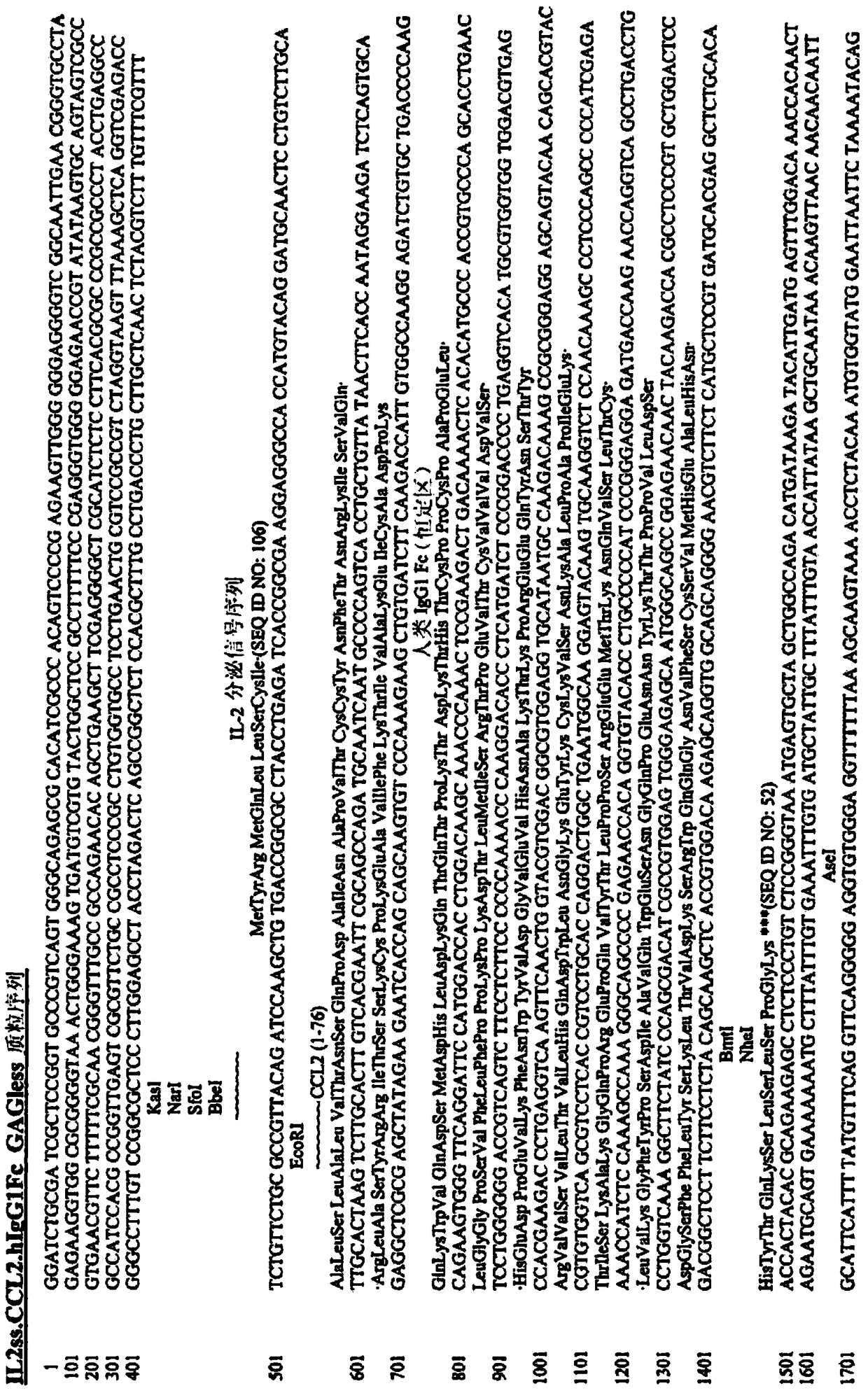 Chemokine-immunoglobulin fusion polypeptides, compositions, method of making and use thereof