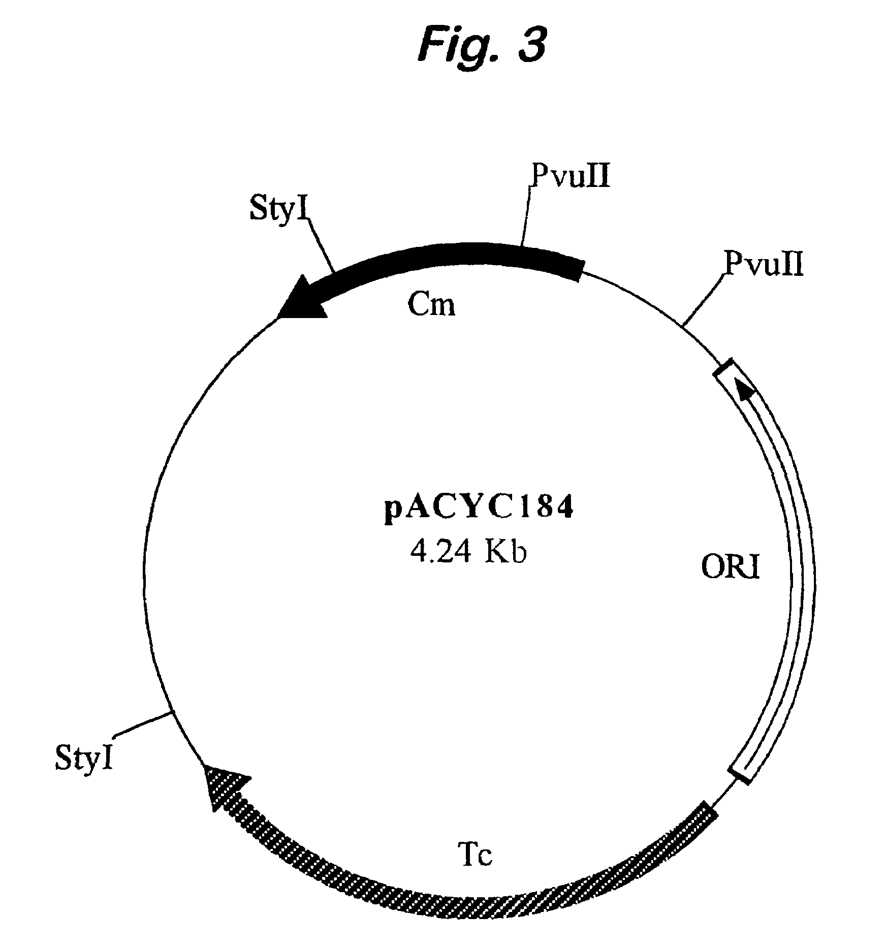 Expression control using variable intergenic sequences
