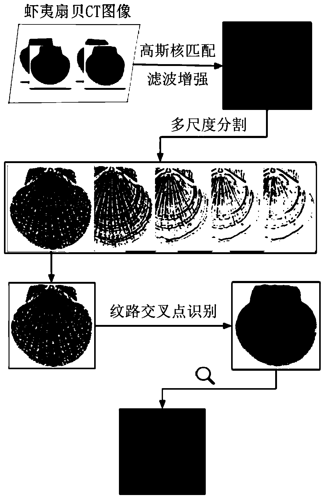 A Segmentation and Recognition Method of Scallop Shell Growth Pattern