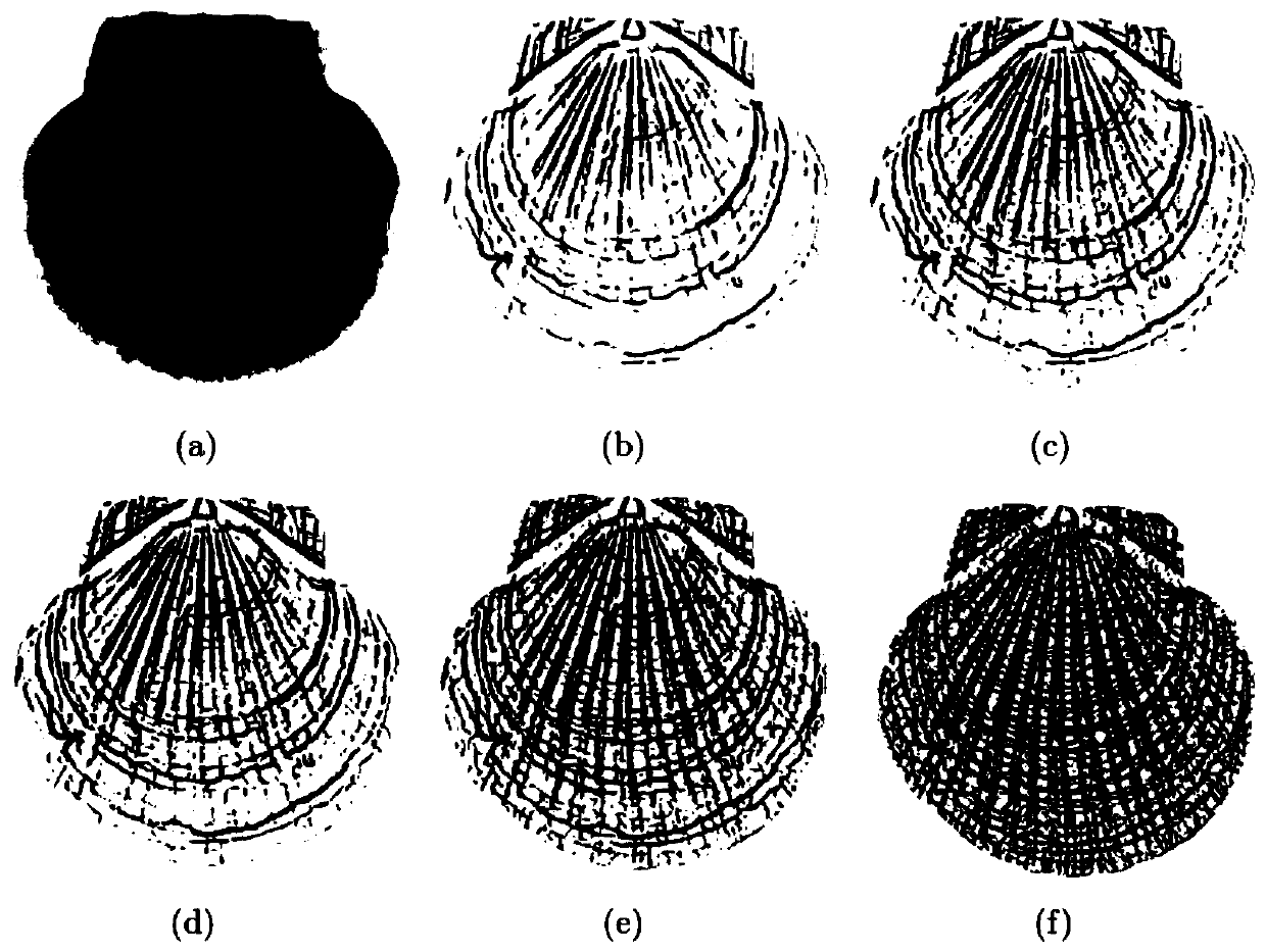 A Segmentation and Recognition Method of Scallop Shell Growth Pattern