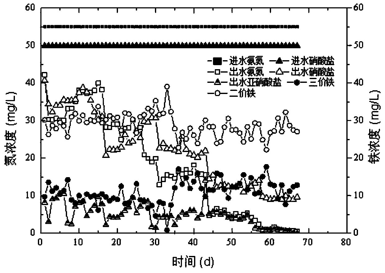 A method for simultaneous removal of ammonia nitrogen and nitrate nitrogen in water bodies