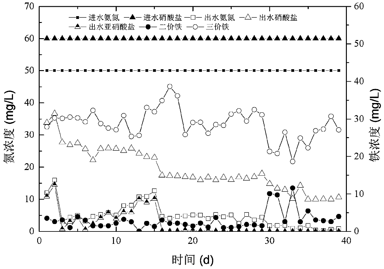 A method for simultaneous removal of ammonia nitrogen and nitrate nitrogen in water bodies