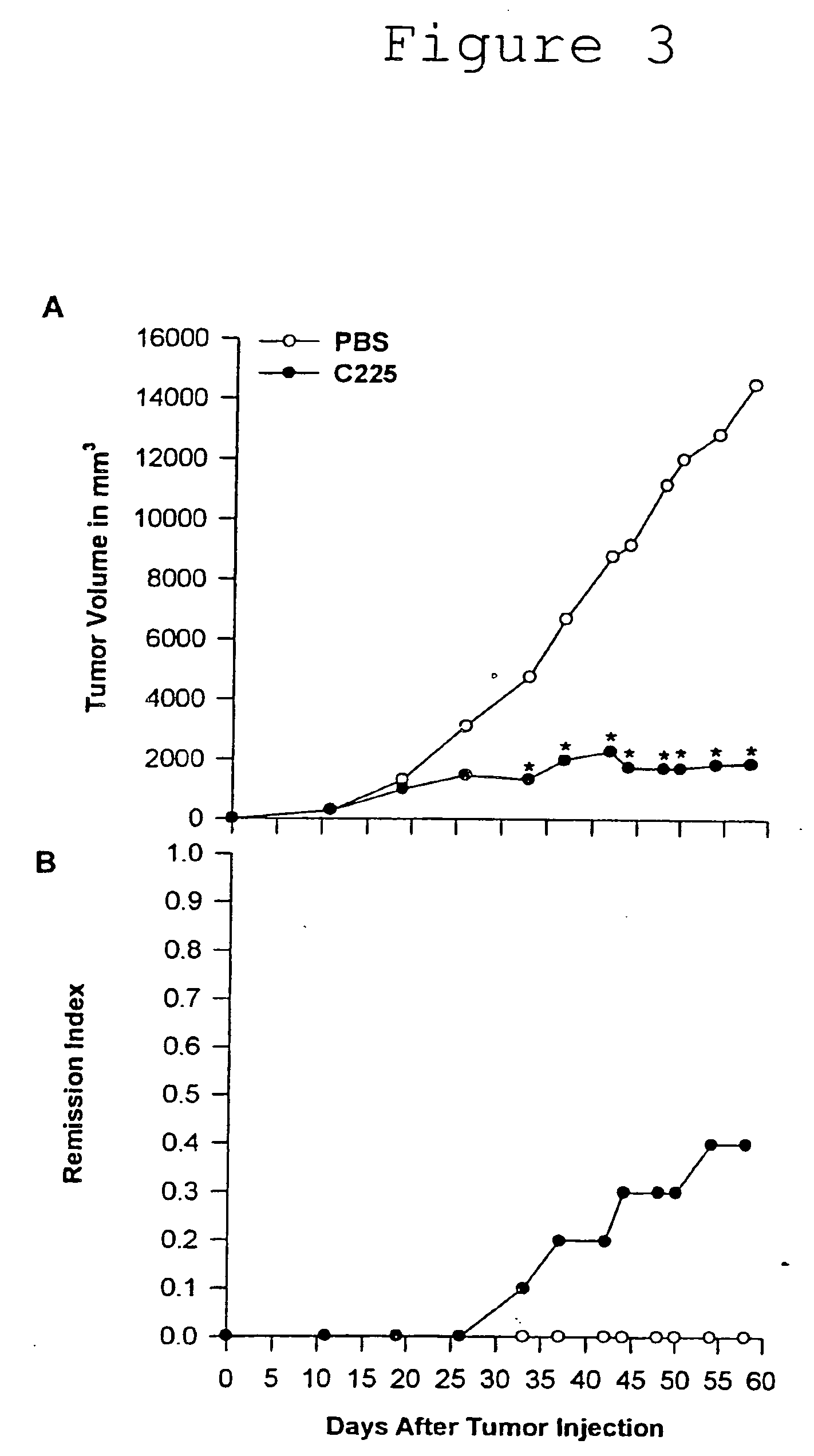 Antibody and antibody fragments for inhibiting the growth of tumors